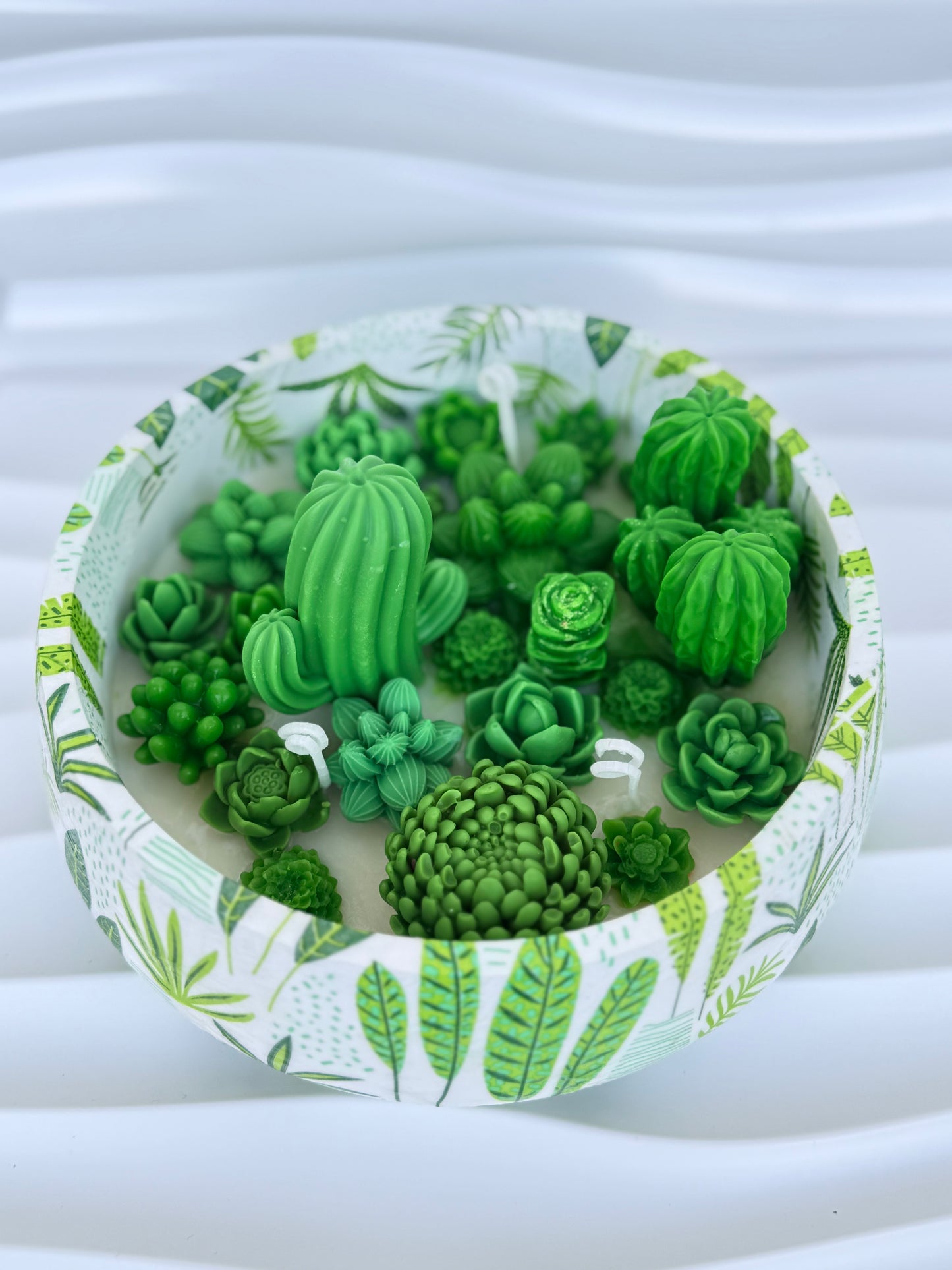 🌵 Kaktuskerze –Die Sukkulente