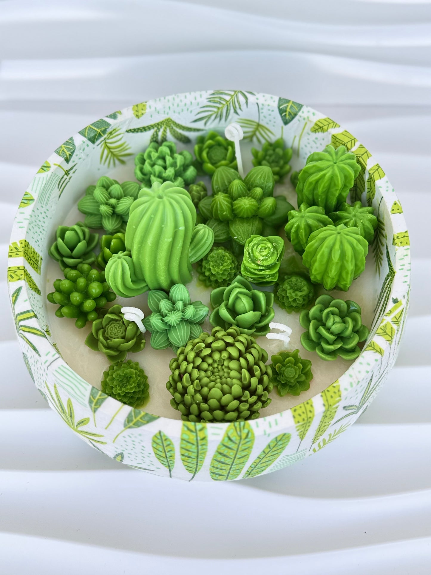 🌵 Kaktuskerze –Die Sukkulente